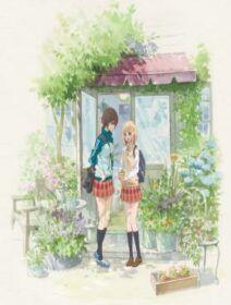 Poster de Asagao To Kase-san