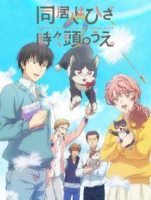 Poster de Doukyonin Wa Hiza, Tokidoki, Atama No Ue.