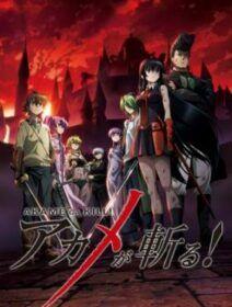 Poster de Akame Ga Kill!