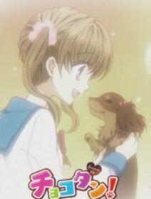 Poster de Chocotan!