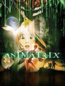 Poster de Animatrix Dublado