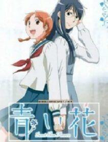 Poster de Aoi Hana