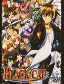 Poster de Black Cat