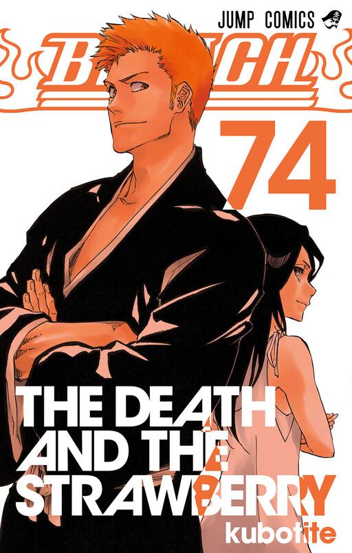 Capa de Bleach