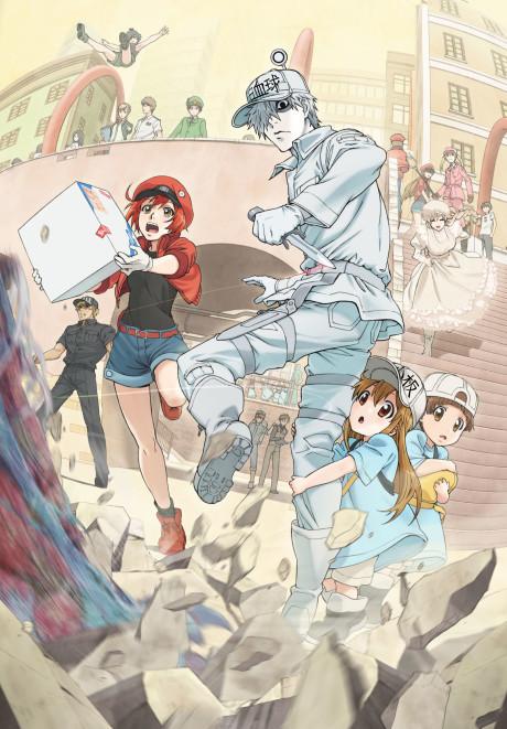 Poster de Cells at Work!