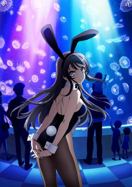 Poster de Rascal Does Not Dream of Bunny Girl Senpai