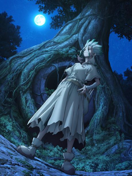 Poster de Dr. STONE New World