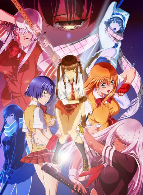 Poster de Shin Ikki Tousen