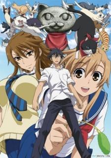 Poster de Nyan Koi!