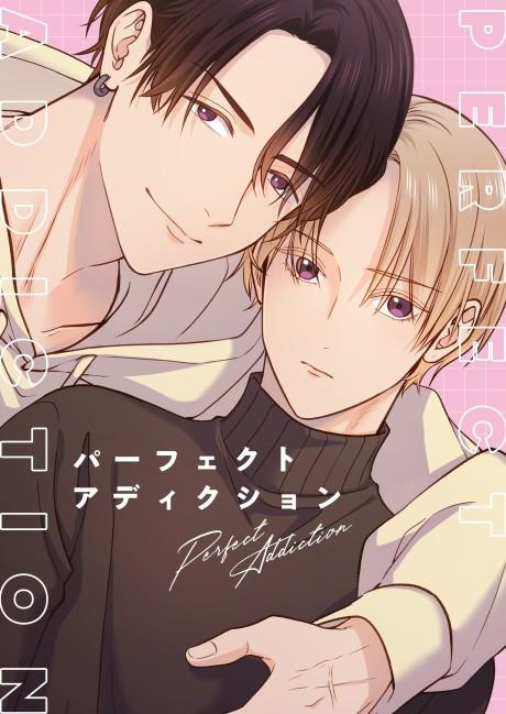 Poster de Perfect Addiction